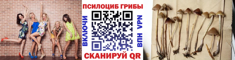Псилоцибиновые грибы GOLDEN TEACHER  Юрьевец 